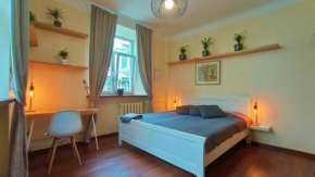 Cozy studio and standard apartments in the heart of Oldtown, Vilnius